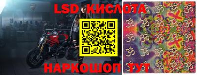 прущие грибы Будённовск