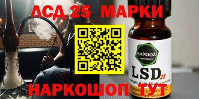 прущие грибы Будённовск
