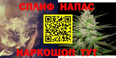 прущие грибы Будённовск