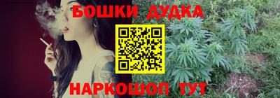 прущие грибы Будённовск