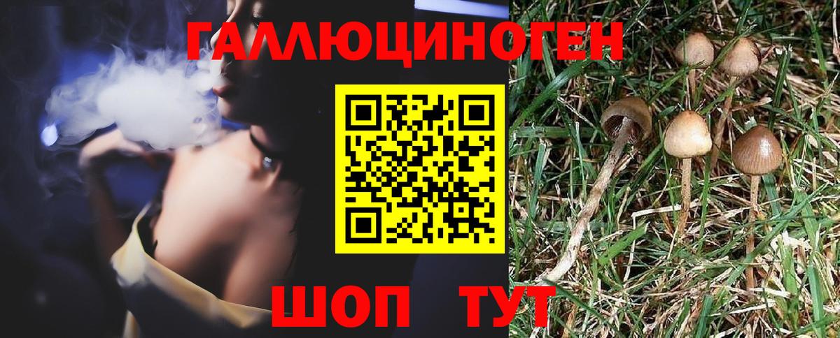 Псилоцибиновые грибы мухоморы  Галлюциногенные грибы мухоморы  Кондопога  Вход с VPN 